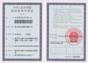 組織機(jī)構(gòu)代碼證